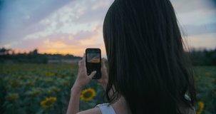 Creative young adult woman from behind making photo or video using smartphone on sunflower field at sunset. Traveler female shoot digital content for social media or blog. Inspired girl on travel