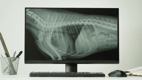 Doctor veterinarian examining horse skeleton roentgen on computer monitor. Woman vet analyzing animal bones x-ray close-up. Healthcare and medicine concept.  - Powered by Shutterstock - Get 15% off with code: PIKWIZARD15