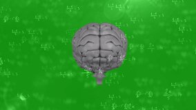 Animation of rotating brain and math formulas on green background. science, human biology, math and technology concept digitally generated video.