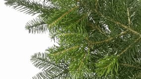 Close-up of fir Christmas tree branches isolated on white background. Showing in motion bunch of green fresh fir for winter holidays decor. Preparing for Christmas and New Year decoration concept. - Powered by Shutterstock - Get 15% off with code: PIKWIZARD15