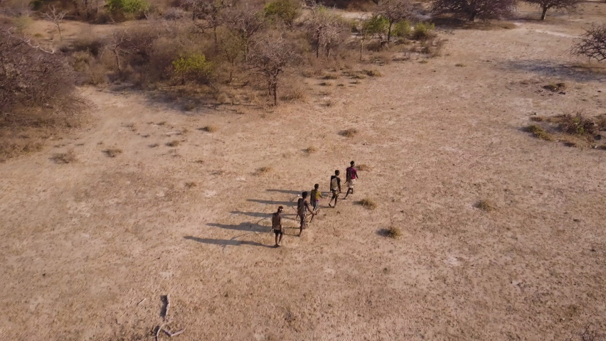 Aerial. Group of Hadza hunter-gatherer tribesmen out hunting with bow and arrows in a drought stricken landscape due to climate change.Tanzania Royalty-Free Stock Footage #1093406247