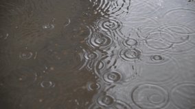 Blurred real time video. Rain drops falls on puddle with round ripples on grey asphalt road. Abstract rainy background. Reflection of the silhouette of a riding cyclist. Bad weather forecast theme.