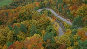 AERIAL: Car driving on an asphalt road surrounded with gorgeous autumn forest. Sharp turn in serpentine road in the middle of colorful woodland in fall season. Autumn spreading across countryside.