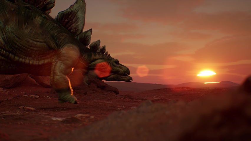 Stegosaurus Rests Evening Landscape with Sunset Jurassic Era 3D Animation Rendering 4K