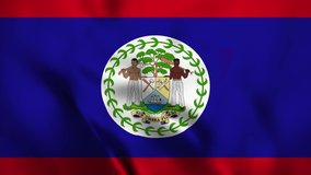 Belize national flag wavy 3d video high resolution looping background