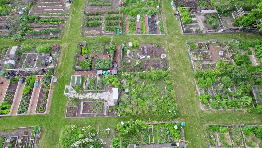 Urban farm aerial view. Growing and farming vegetables in the city. Top view of an urbanized town garden made by citizens nearby buildings. Toronto, Ontario, Canada.