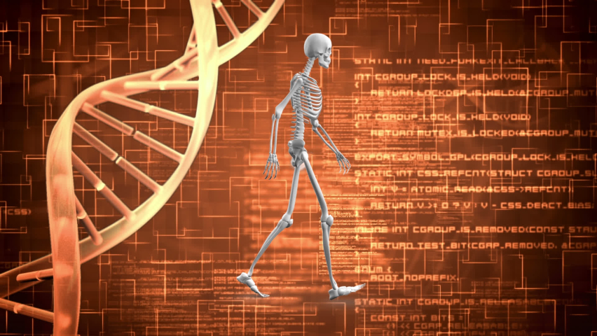 Animation of dna, globe, skeleton and data processing on orange background. science, human genome, data processing and technology concept digitally generated video. - Powered by Shutterstock - Get 15% off with code: PIKWIZARD15