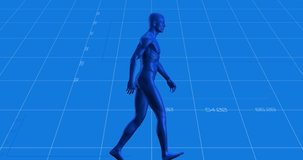 Animation of digital human over data processing on blue background. global technology, computing and digital interface concept digitally generated video. - Powered by Shutterstock - Get 15% off with code: PIKWIZARD15