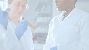 Animation of diagram drawing over diverse female scientists in lab. global science and digital interface concept digitally generated video. - Powered by Shutterstock - Get 15% off with code: PIKWIZARD15