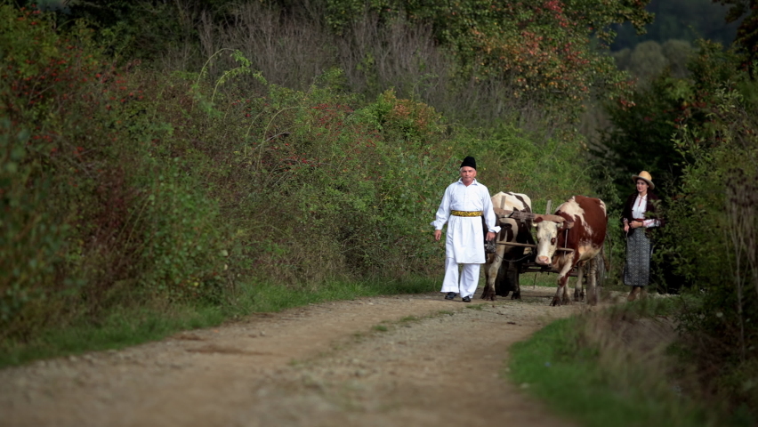 Romanian peasants go by oxcart 3