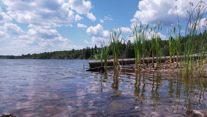 Shore Timelapse Of Lake In Northern Ontario