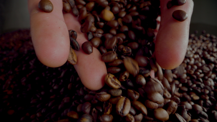 Hands pour coffee beans on large heap fresh aromatic harvest close up. Unknown man palms full of fragrant roasted seeds. Agriculturist holding coffee grains checking quality arabica crop indoors. Royalty-Free Stock Footage #1093503479
