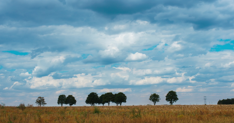 timelapse over the farmer’s pasture.  Timelapse. Yellow wheat field and fast moving clouds. Countryside Rural Field Landscape. High blue sky white beautiful fluffy cirrocumulus clouds. 
