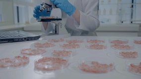 close-up of an unrecognizable scientist with a microscope in the laboratory cultured meat in petri dishes in the background microscope - Powered by Shutterstock - Get 15% off with code: PIKWIZARD15