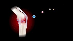 Vitamins and minerals absorbed into the bone cartilage. Human skeleton anatomy model on green screen background. Care bone knee joint. Can be used in food advertising media. Motion Graphic 4K video.