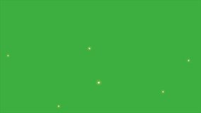 Green screen background of a firefly with a slight blur, you just need to remove the green background in the video editing software you are using