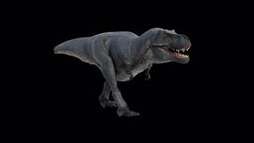 Animation of a dinosaur tyrannosaurus. Seamless loop. T-rex on isolated background with alpha channel. Animation for historical, natural and animal backgrounds. View of a prehistoric animal. Use this  - Powered by Shutterstock - Get 15% off with code: PIKWIZARD15
