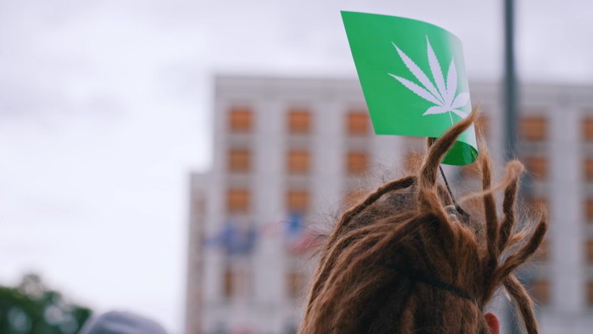 European weed-lover holding little green flag with white marijuana-leaf shaped icon in his dreadlocks. Legalization of cannabis. High quality 4k footage