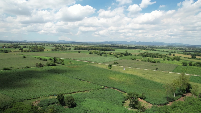 high angle view of farm, grow plants, nice landscape
