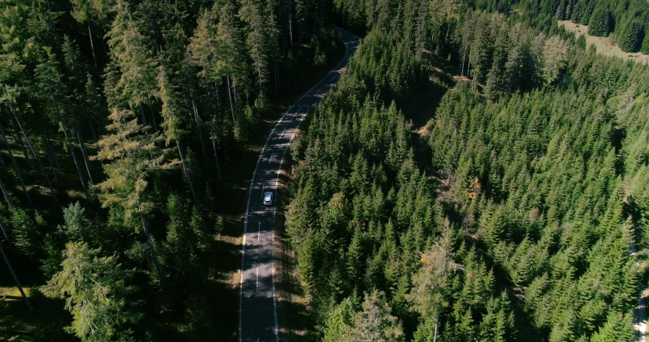 Aerial view of driving car through pine forest on mountain road. Concept of vacation and road trip. Drone following white vehicle. 