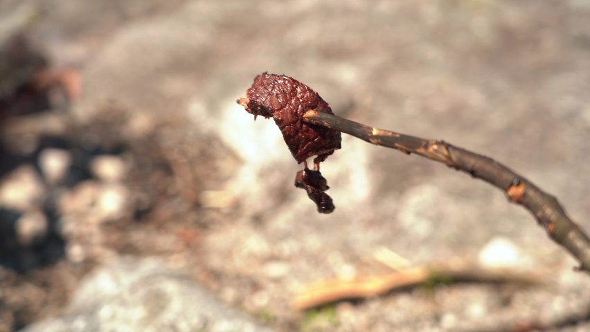 Slice of fresh wild game deer meat on a stick with bonfire in shallow depth background - First person view of stick with meat during a hiking trip in sunny weather