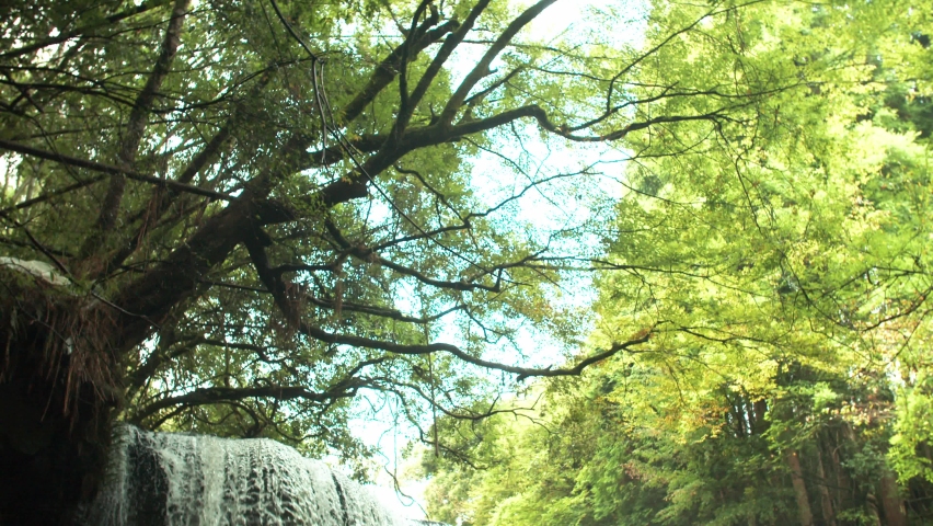Nabegataki waterfall in Kumamoto Japan, early morning slow motion Royalty-Free Stock Footage #1093583271