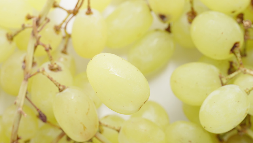A green grape rotates against a background of bunches of grapes, close-up