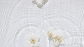 White Jasmine, flowers on water surface and falling water drops, waves on White background. Water splash. Pure water with reflections sunlight and shadows. Valentines day texture. - Powered by Shutterstock - Get 15% off with code: PIKWIZARD15