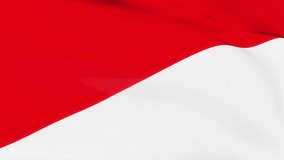 Loop of Indonesia  flag waving in wind texture background. Indonesia flag video waving in wind