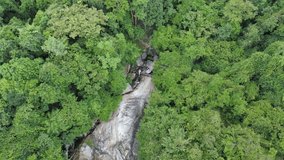 aerial view of green tree and waterfall flowing.beautiful and majestic nature in tropical rainforest.fly and rotate the camera over waterfall from top in bird eye view