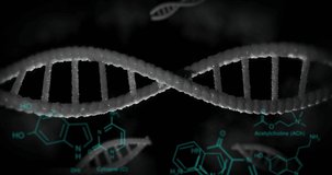 Animation of dna rotating over scientific data on black background. Science, biology, data processing and technology concept digitally generated video.