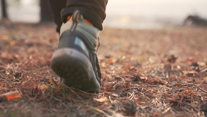 Hiking in forest with dog. Tourist shoes in forest park. People travel with dog in nature. Summer female legs in natural park. Adventure tourist on vacation. Legs of tourist in forest park. Trekking Royalty-Free Stock Footage #1093624649