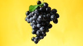 Black Grape Sweet Fruit Close-up Yellow Background Motion Video