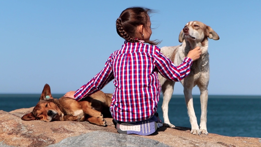 Child sits on the beach with three mongrel dogs. Girl strokes and caresses them. Girl with dogs by sea, 4k