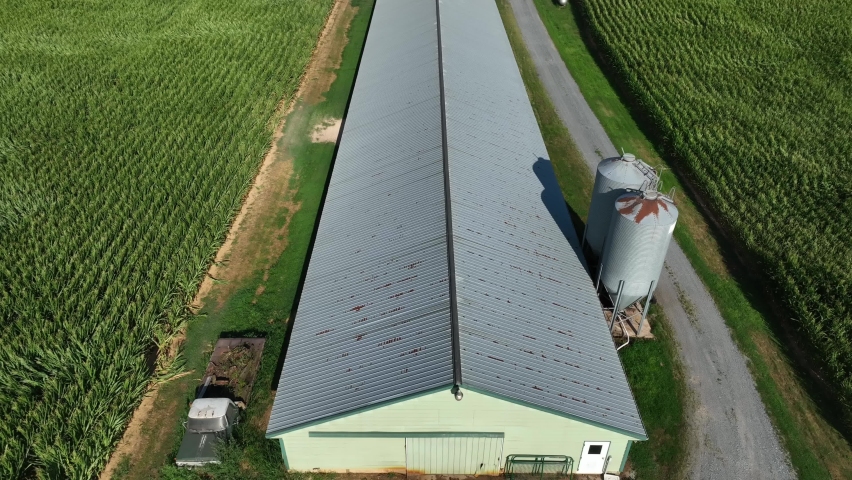 Aerial of poultry barn. Chicken house in USA surrounded by corn fields in USA. American farm scene.