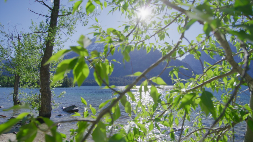 Unique ecosystem and wildlife of the Grand Teton National Park, WY, USA. Cinematic scenery with alpine lake and sun ripples on crystal clear water. High quality 4k footage