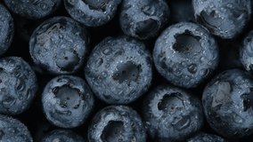 Fresh blueberries close up, rotation. Healthy food concept