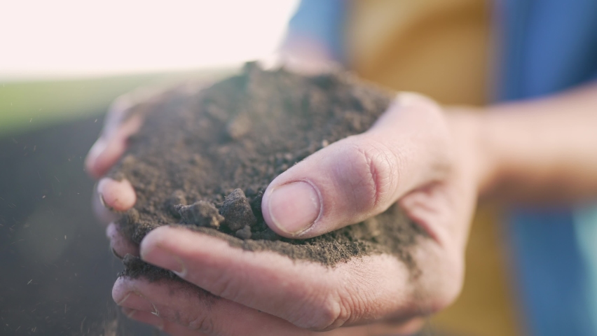 Agriculture. Top layer of soil in hands of the farmer. Fertile land in garden. The farmer touches the black fertile soil in field. A pile of brown earth in the hands of a man. Agriculture concept Royalty-Free Stock Footage #1093715905