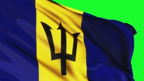 Loop of Barbados flag waving in wind on green screen texture background. Barbados flag video waving in wind