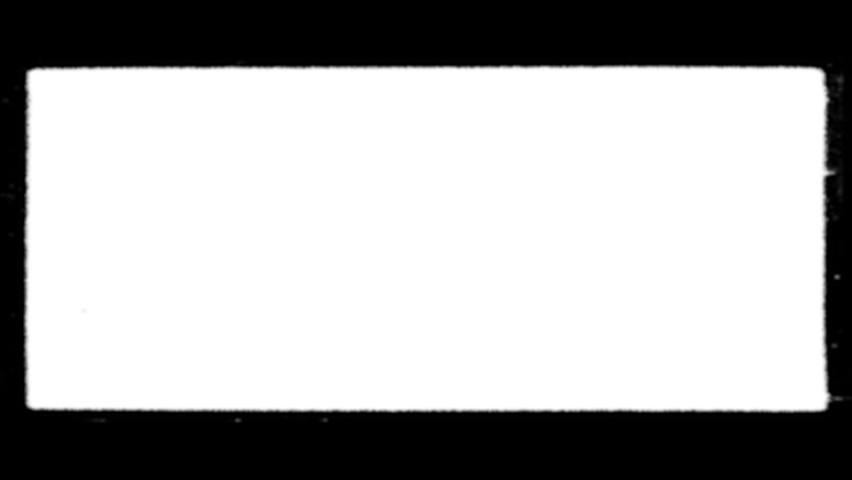 Shutterstock Video
