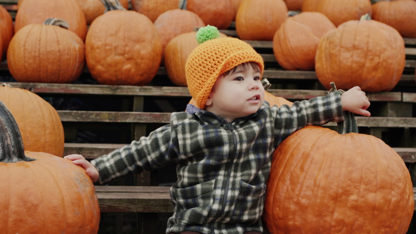 A cheerful kid sits on a bench among rows of pumpkins. Autumn fair in honor of Halloween Royalty-Free Stock Footage #1093740689