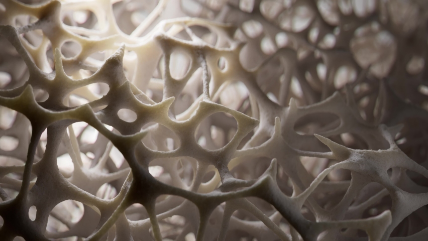 Slowmotion shot of spongy bone tissue growing, 3d animation. | Shutterstock HD Video #1093757239
