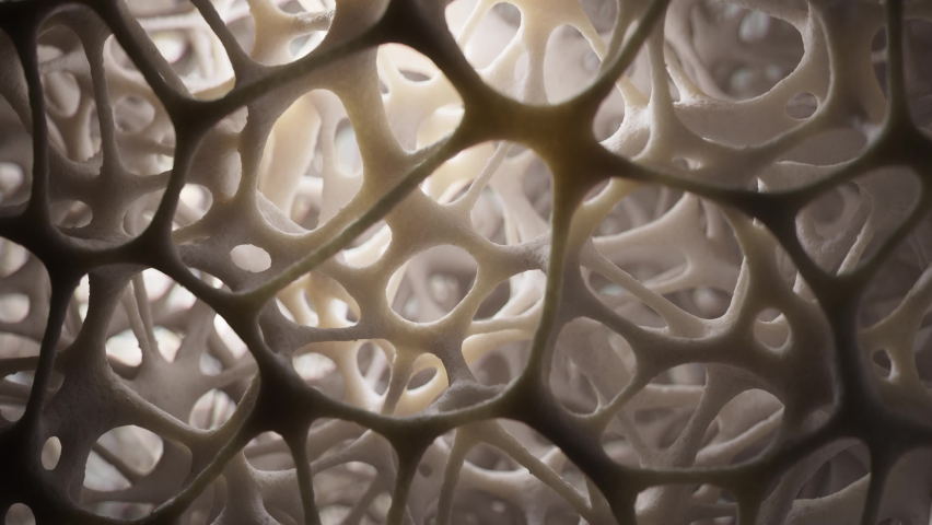 Beautifully lit spongy bone tissue, 3d rendering. Royalty-Free Stock Footage #1093758065