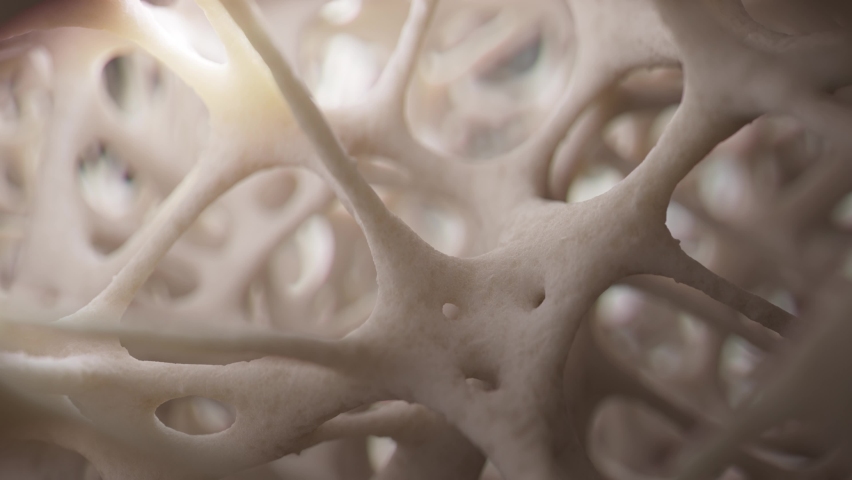 Camera dolly revealing healthy spongy bone tissue, realistic 3d animation.