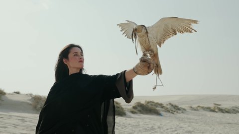 woman interacting with Qatari Falcon bird in Doha Qatar desert
 วิดีโอสต็อก