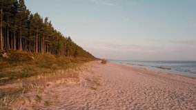Baltic Beach Pines Sand And Sea, Drone Flight Over Bay Latvia Jurmala Summer