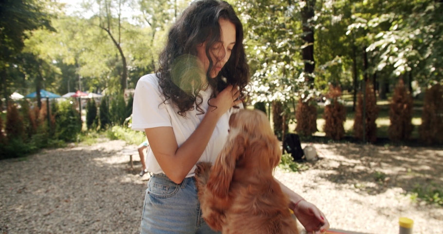 Happy woman have fun with cocker spaniel female dog playing, Woman playing with her dog. hugs, kiss and pose nicely. Human animal friendship. English cocker spaniel rests outdoors. young pretty Royalty-Free Stock Footage #1093779643