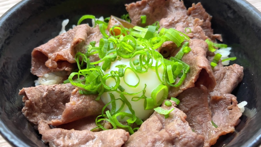 Gyudon bowl - beef slices with rice, egg and green onions. Japanese cuisine concept.
