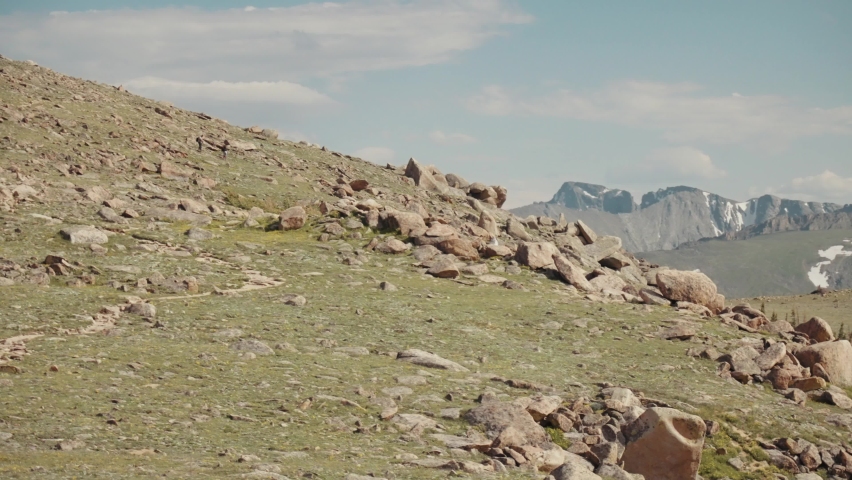 Tundra Rocks in Rocky Mountain National Park