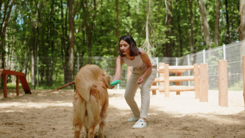 Woman cynologist training golden retriever with ring. Professional animal trainer playing with labrador outdoor. Dog walking service. Happy domestic animals. Royalty-Free Stock Footage #1093802781